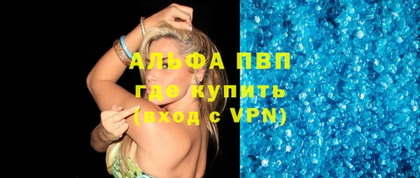 индика Армянск