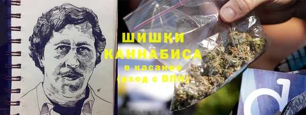 мяу мяу мука Алзамай