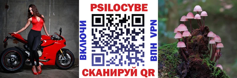 Галлюциногенные грибы Psilocybine cubensis  Тайга 